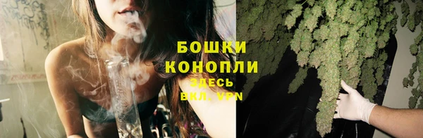 ПСИЛОЦИБИНОВЫЕ ГРИБЫ Ельня