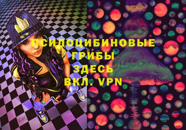 дмт Елизово