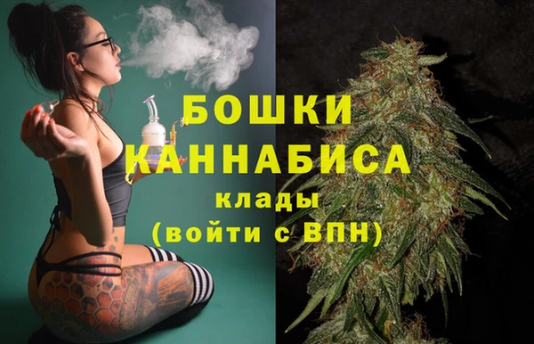 дмт Нягань