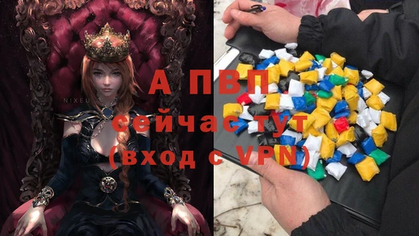 ГАЛЛЮЦИНОГЕННЫЕ ГРИБЫ Елабуга