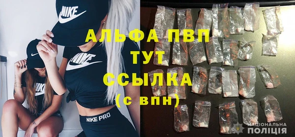 ПСИЛОЦИБИНОВЫЕ ГРИБЫ Ельня