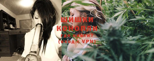 ГАЛЛЮЦИНОГЕННЫЕ ГРИБЫ Елабуга