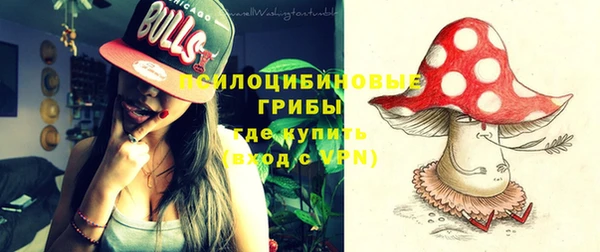 дмт Нягань