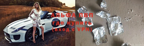 ГАЛЛЮЦИНОГЕННЫЕ ГРИБЫ Елабуга