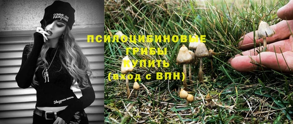 ПСИЛОЦИБИНОВЫЕ ГРИБЫ Ельня