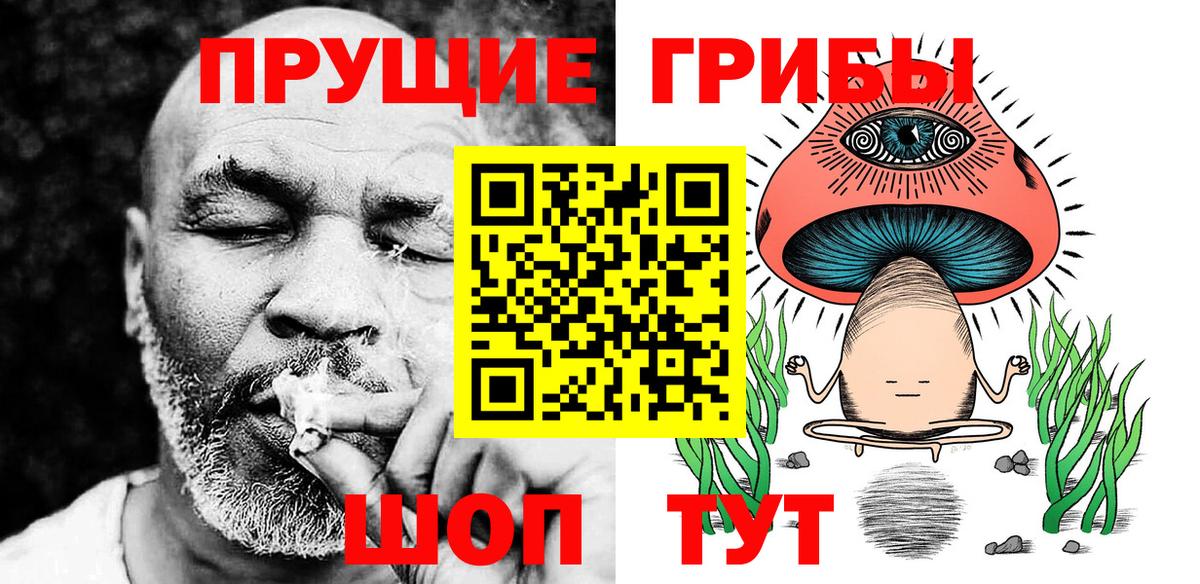 Реж  Галлюциногенные грибы Psilocybe  Вход с VPN  Псилоцибиновые грибы мицелий 